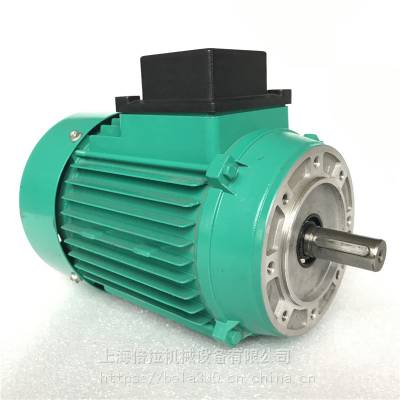 威乐三相异步电动机德国威乐水泵MVI5207-1/16/E/3-380-50-2售后维修