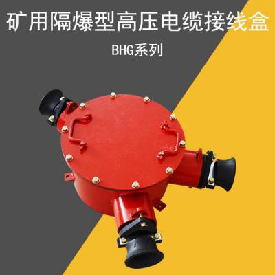 BHG1-400/6-2G/3G/4G矿用隔爆型高压电缆接线盒