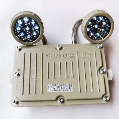 LED˫ͷӦ BCJ-2X20 ȫ