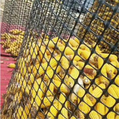 新型黑色圈玉米地塑料网子 塑料土工格栅养殖网 圈山圈地养殖网