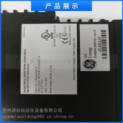 GE-通用电气 IC695PNC001CA DCS输入输出模块