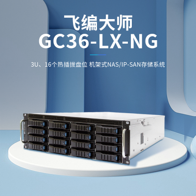 飞编大师GC36LXNG国产化千兆磁盘阵列企业级网络存储数据记录