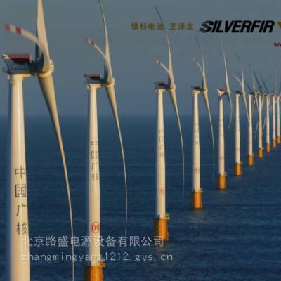 SILVERFIR ɼ2V600Ahվ2VEG600 220kV½