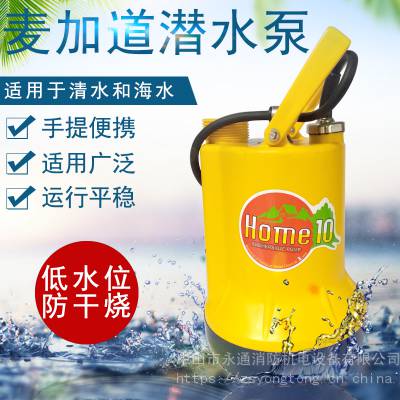 小范围地面积水排水泵HOME-10塑料家用潜水泵