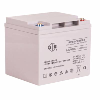 ˫6-GFM-38 12V28AHUPSԴרǦά