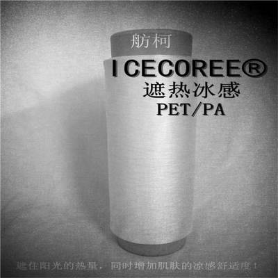 ICECOREE ˿ά˿ĸ { / }