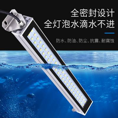 led ˮӫ سĥ