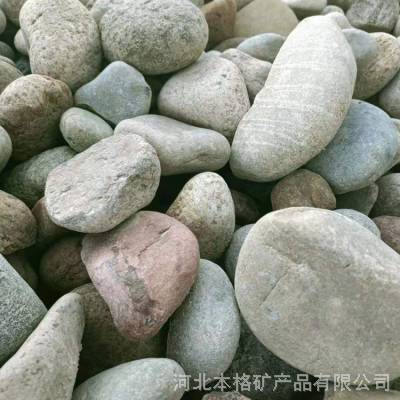 10~20cm鹅卵石 净水处理鹅卵石 人工湿地用鹅卵石 厂家批发