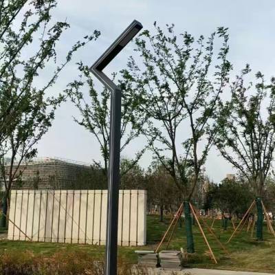 桂林恭城球场灯杆太阳能30W壁灯杆来图定制