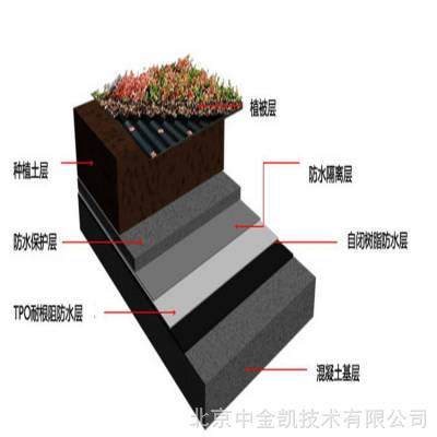 湖南生产RG聚合物防水涂料 具有极高的耐水性强抵抗基体开裂能力