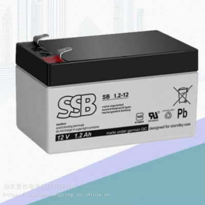 德国SSB蓄电池SB1.2-12 12V1.2AH 应急灯电子仪器配置蓄电池