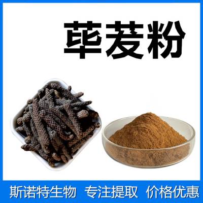 荜茇粉 斯诺特生物 药食两用原料 一公斤起订