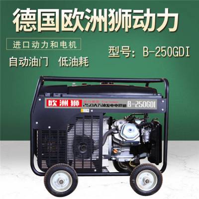 300A汽油发电电焊机输出功率