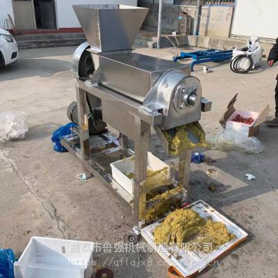 供应桑葚榨汁机 LQ-1吨葡萄自动压汁机 广西石榴破碎榨汁机鲁强机械
