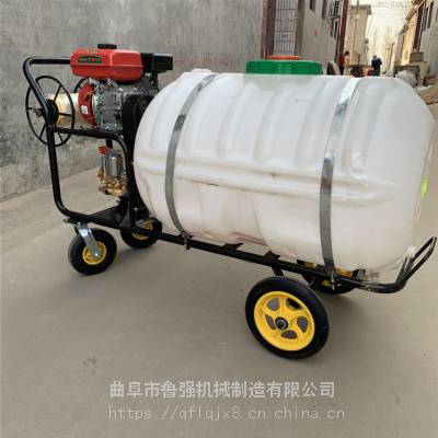 苹果树林除草除虫喷雾器 汽油喷药机 小型农用消毒打药机