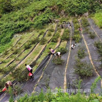 果园农田防草布 透气 编织 pe材质