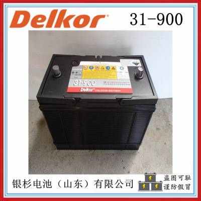 ¸Delkor31-900 12V-100AHǦᶯ