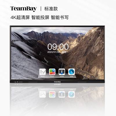TeamBayܻƽ4K1300ͷAIȡ׼