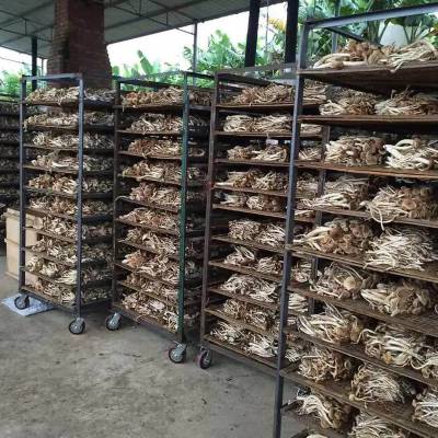 天元高温空气能茶树菇脱水烘干机系统设备