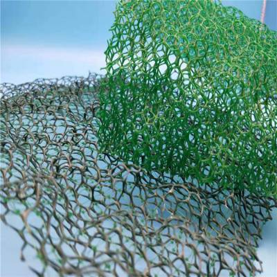 公路边坡种草护土园林绿化用施工方便塑料三维植被网