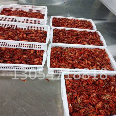 ʽСϺϴ±豸 豸 Сϴ±ٶ