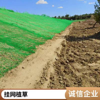 郁林承接客土喷播 道路防滑坡工程 植草挂网喷浆 新鲜干燥无杂尘