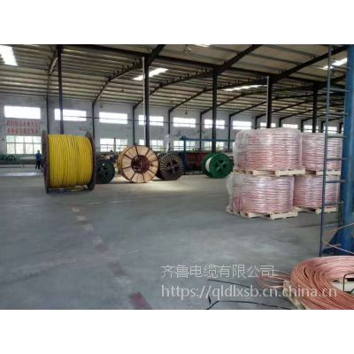 齐鲁电缆 煤矿用聚氯乙烯绝缘 MKVV32-450/750V-37*1.0,煤安证书齐全,欢迎选购
