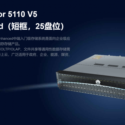 5110 5210 V5 增强存储 中端存储 磁盘阵列 硬盘 硬盘框 FC模块