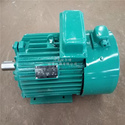 YZP112M1-4 3KWұص YZPƵٵ綯 ľ˹
