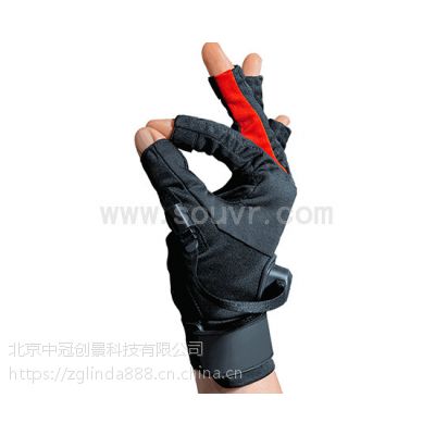 Manus VR Gloveʵ