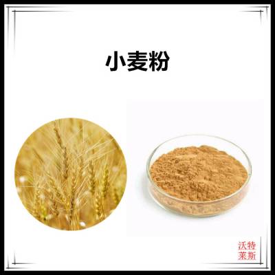 小麦速溶粉 原粉 食品级原料 沃特莱斯生物 紫红色粉末