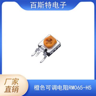 供应橙色碳膜可调电阻RM065-H5 立式可调电阻