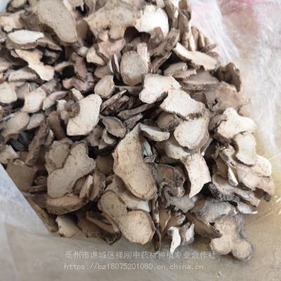 野生八角金盘道地药材经营中药草批发