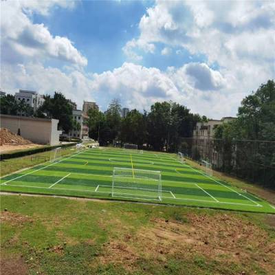 仿真人造假草坪户外运动场足球场装饰塑料绿植人工绿化假草坪地毯