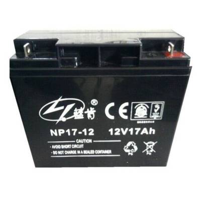蓝肯蓄电池NP17-12 12V17AH阀控式铅酸蓄电池 机房配电室 UPS电源配套