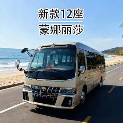 深圳福田商务接待专业包车 租台正版考斯特豪华版全新车