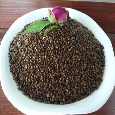 野生列明子批发价格 决明子的功效