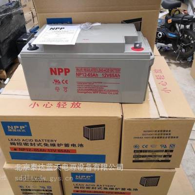 耐普蓄电池NPG12-65 12V65AH阀控密封式电池 技术参数