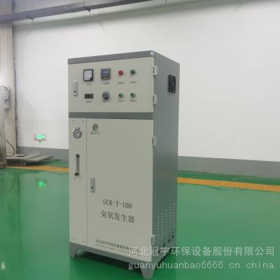 冠宇GCY-T臭氧发生器消毒设备污水处理