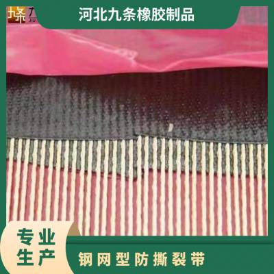 输送带防撕裂网 定制 型号LCS-10010 网格 SGS认证原料