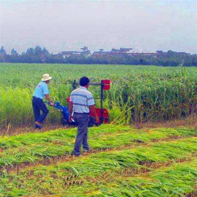 多用途手扶秸秆谷物收割机 轧倒放片辣椒收获机