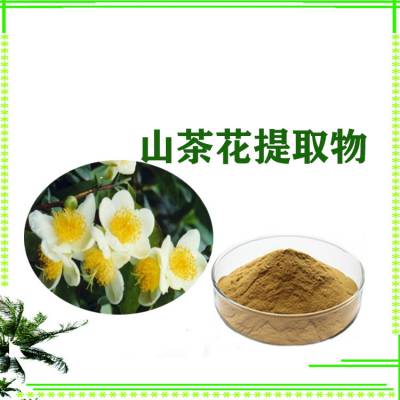 山茶花提取物 浓缩粉 提取液 浸膏 多种规格 1kg起订 包邮