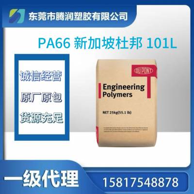 PA66 ¼ 101L  ĥ  ׼ӹ ƣ