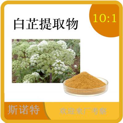 白芷提取物 水提浓缩无添加 斯诺特 洗护压片糖果原料