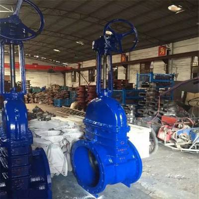 Z41X-16C ˵բ ܷբ ַܷբZ41X-16C DN100 ܷբ