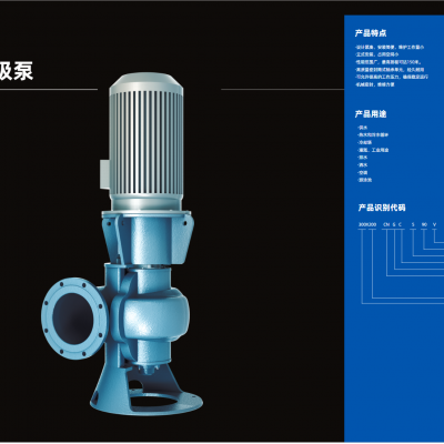 EBARA荏原立式双吸泵CNV双吸泵65×50FDFP52.2E占用空间小