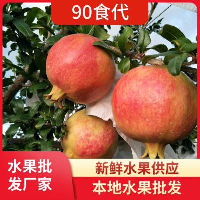 成都供应 新鲜石榴 果肉紧实 籽多水甜