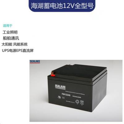 SEALAKE海湖蓄电池FM12400 12V40AH/20HR配电柜 机房应急电源配套