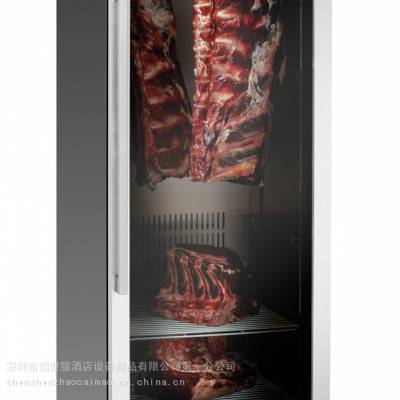 德国BARTSCHER 700841CABINET380干式熟成柜肉类熟成柜 牛肉牛排柜 排酸柜