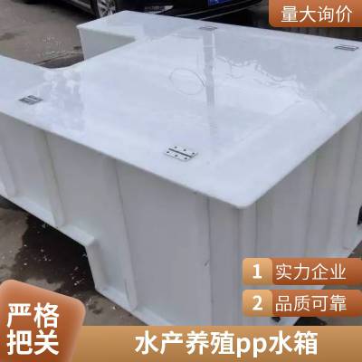 pp水箱焊接白色加厚塑料PVC电镀酸洗槽酸碱池水产养殖鱼箱